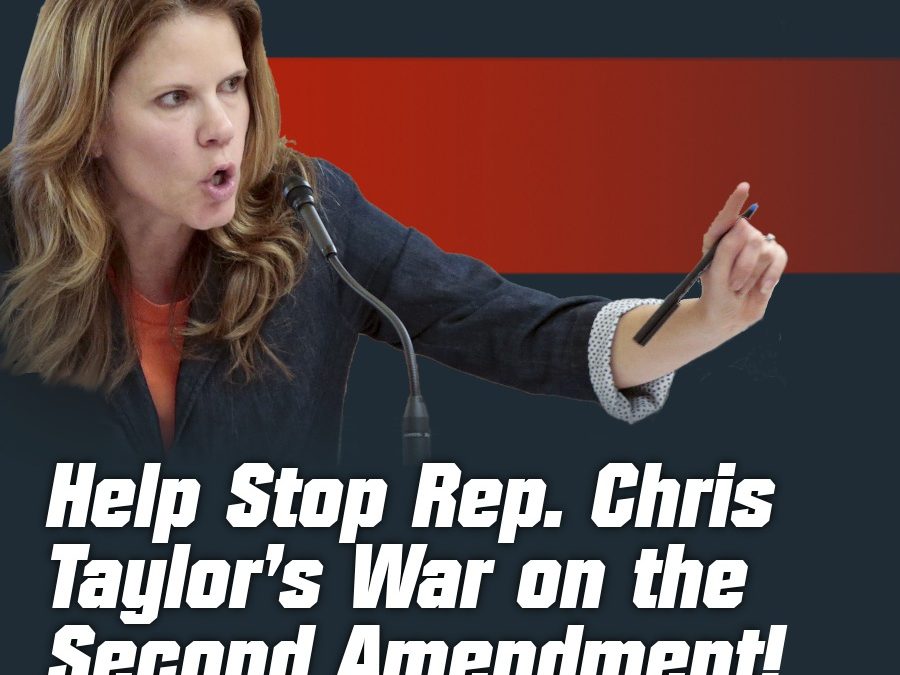 Gun Control Legislation About to be Filed in Madison!