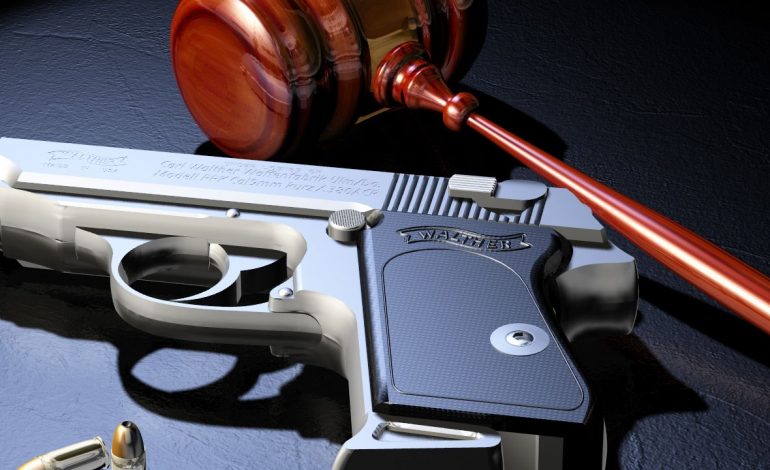 Gun Control Fight Starts in Two Days!