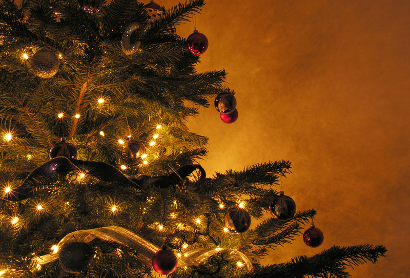 Merry Christmas from the Wisconsin Firearms Coalition!
