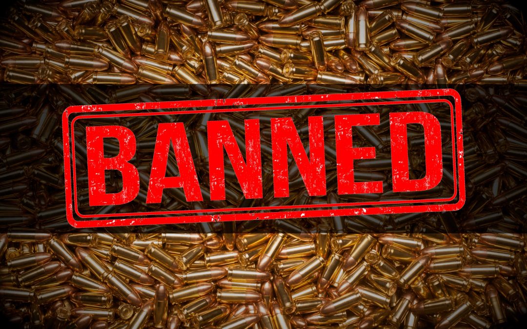 New Federal Gun Control Bill Opens the Floodgates!