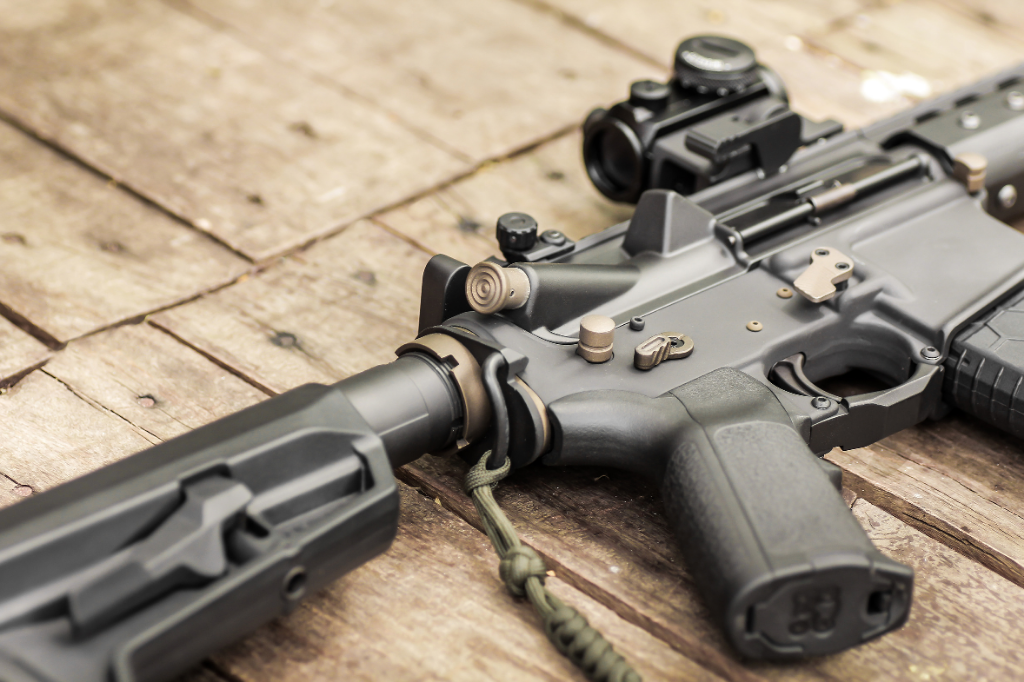 Tell Your Madison Politicians NO Gun Control in 2025!